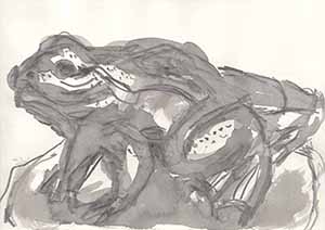 Graphitzeichnung auf Papier - Frosch 8